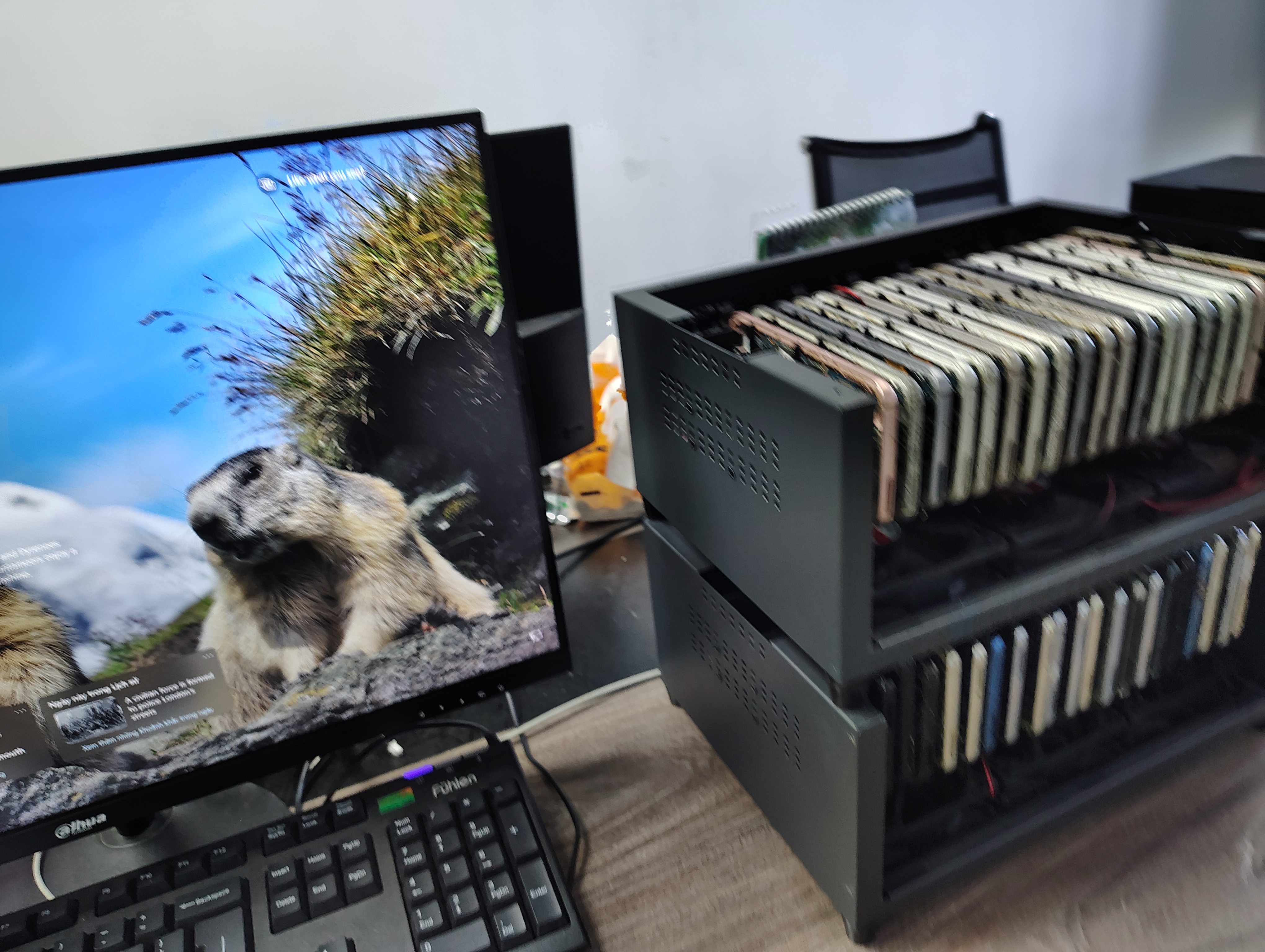 Box Phone Farm Tại Đường Nguyễn Văn Linh, tp Hồ Chí Minh – Tư Vấn Cấu Hình